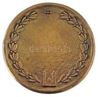 DN "Senior Grand Prix Szeged" kétoldalas bronz emlékplakett (90mm) T:XF