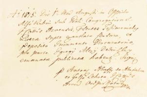 1814 Latin nyelvű ügyvédi oklevél, felzetes viaszpecséttel