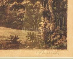 Paulovits Pál (1892-1975): Hazafelé (olvashatatlan címmel). Színezett rézkarc, papír, jelzett, felül...