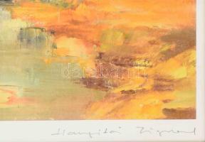 Hargitai Zsigmond (1942-2004): Patakpart. Ofszet nyomat, papír, jelzett, számozott (4/10). Üvegezett...