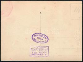 cca 1925 Habsburg Ottó (1912-2011), IV. Károly király legidősebb gyereke, politikus ifjúkori fotója,...