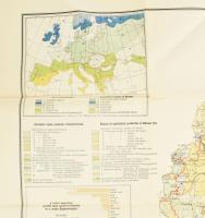 1927 Magyarország gazdaságföldrajzi térképe. Dr. Teleki Pál gróf és dr. Cholnoky Jenő közreműködésév...