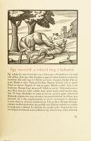 A Bölcs Esopusnak és másoknak fabulái és oktató beszédei, valamint azoknak értelme melly fabulákat e...