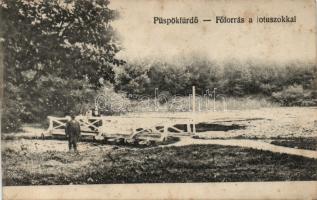 Pöspökfürdő fountain (EK)