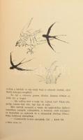 Fekete István: Csi. Történetek állatokról és emberekről. Győry Miklós rajzaival. Bp., 1942, Singer é...