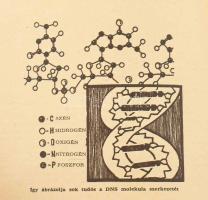 1960 Univerzum folyóirat 1-6. száma egybekötve, 1960/1. számban A Dzsessz, amatőr papírborítóban