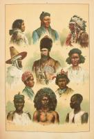 Képes természetrajz az ifjuság számára. Bp., 1902, Athenaeum 4+475 p.+24 (kromolithográfiák) t.+189+...