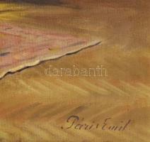 Páris Emil (működött a XX. sz. első felében): Enteriőr festményekkel és bútorokkal. Olaj, vászon, je...