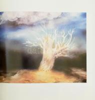 1983 D. Fehér Zsuzsa: Szász Endre. Összeáll.: - -. Kiállítási katalógus. Kecskemét, Petőfi-ny