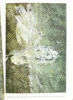 Aknai Tamás: Csorba. A művész, Csorba Simon László (1943-2024) által DEDIKÁLT példány! Veszprém-Bp.,...