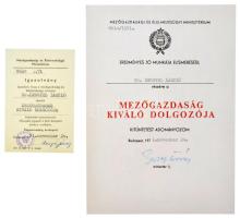1971. "Mezőgazdaság Kiváló Dolgozója" aranyozott, műgyantás és zománcozott jelvény, miniat...