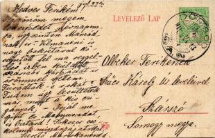 1910 Dömsöd, Dunaág a szigettel, tutajos faúsztatás. Wiesel Izrael kiadása (fl)