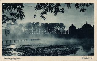 Hévíz gyógyfürdő (fa)