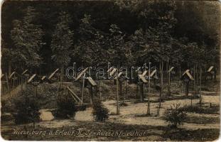 1915 Wieselburg, Russenfriedhof / WWI Russian POW (prisoners of war) cemetery (worn corners)