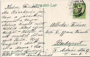 1916 Ráckeve, Városház tér, Gyógyszertár a Szentháromsághoz, autó. Münich Jenő kiadása (EK)