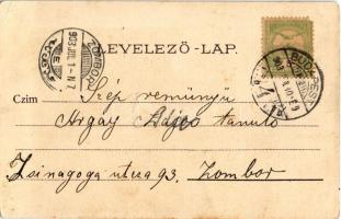 1903 Budapest V. Eötvös szobor. litho (EK)