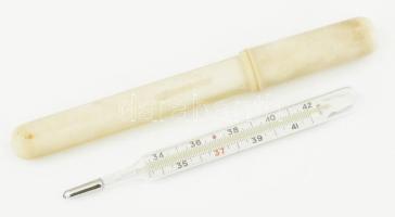 Higanyos lázmérő, tokban