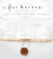 1910 A Budapesti Királyi Magyar Tudományegyetem által kiállított orvosdoktori diploma Wilheim Ármin részére, rajta szepes-szombati Genersich Antal (1842-1918) orvos, egyetemi tanár, az MTA tagja, a Ferenc József-rend lovagja; Tangl Ferenc (1866-1917) fiziológus, humán és állatorvos, egyetemi tanár, az MTA tagja; ill. Hoór Károly (1858-1927) orvos, szemész, egyetemi tanár autográf aláírásával; 3K okmánybélyeggel, fatokos függőpecséttel. Hátoldalán hivatalos feljegyzésekkel (többek közt az egyéves kötelező kórházi gyakorlat elvégzéséről). A pergamen kissé koszos. 66x50 cm