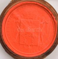 1910 A Budapesti Királyi Magyar Tudományegyetem által kiállított orvosdoktori diploma Wilheim Ármin ...