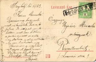 1911 Sátoraljaújhely, mozaiklap, zsinagóga, városháza. Vajda és Eisenstädter kiadása + "S-A-ÚJH...