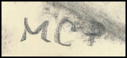 MCP jelzéssel: Kerékpáros. Szén, papír. 29,5x21 cm