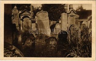 Osoblaha, Hotzenplotz; Alter jüdischer Friedhof / Jewish cemetery