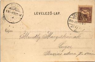 1901 Temesvár, Timisoara; Gyárváros, Kossuth tér, Brüder Kohn üzlet. Polatsek kiadása / square, shop...