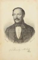 Gyulai Pál: Vörösmarty életrajza. Vörösmarty arczképével. Bp., 1879, Franklin-Társulat, 1 (acélmetsz...