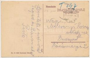 1941 Radnaborberek, Borberek-fürdő, Valea Vinului; Izvorul bailor / Teufelsschlucht (Bergwerksgraben...