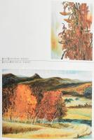 Far away from material dreams. Kínai művészeti katalógus, kínai nyelven, gazdag képanyaggal illusztr...