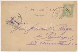 1902 Dálya, Dalja, Dalj; Gőzkomp Gombos és Erdőd között a Dunán, gőzmozdony kompra állítása / Dampff...