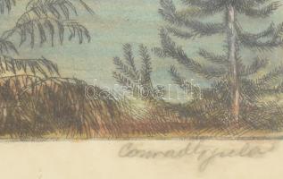 Conrád Gyula (1877-1959): Lánchíd (Budapesti panoráma). Színes rézkarc, papír, jelzett, üvegezett fa...