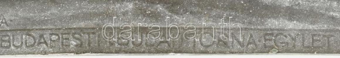 Berán Lajos (1882-1943) 1932. "Budapesti (Budai) Torna Egylet 1869-1829" ón dombormű "...