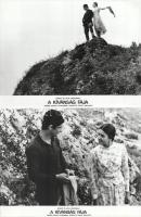 cca 1989 előtti ,,A kívánság fája" című szovjet film jelenetei és szereplői, 15 db vintage prod...