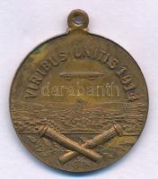 Osztrák-Magyar Monarchia 1914. "I. Ferenc József, II. Vilmos / Viribus Unitis" Al medál (2...