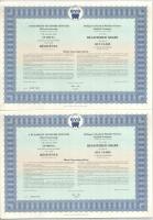 Budapest 1994. "Budapesti Vegyipari Gépgyár" részvénye 10.000Ft-ról szelvényekkel, (5x) so...