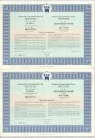 Budapest 1994. "Budapesti Vegyipari Gépgyár" részvénye 10.000Ft-ról szelvényekkel, (5x) so...