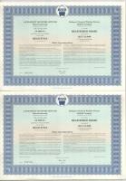 Budapest 1994. "Budapesti Vegyipari Gépgyár" részvénye 10.000Ft-ról szelvényekkel, (5x) so...