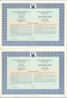 Budapest 1994. "Budapesti Vegyipari Gépgyár" részvénye 10.000Ft-ról szelvényekkel, (5x) so...