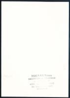 Molnár Dénes (1947-2000): Vajdahunyad (Erdély). Fametszet, papír, hátoldalán a művész bélyegzésével ...