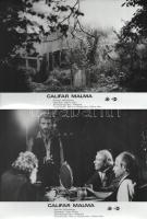 cca 1989 előtti ,,Califar malma" című román film jelenetei és szereplői, 5 db vintage produkciós filmfotó (vitrinfotó, lobbyfotó) ezüst zselatinos fotópapíron, a használatból eredő (esetleges) kisebb hibákkal, 18x24 cm