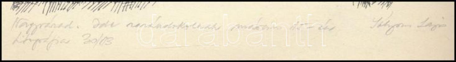 Sólyom Lajos (-): Nagyvárad, Szacsvay Imre szobra. Litográfia, papír, jelzett, számozott (30/13), 32...