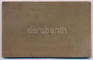 1985. "XXIII. Szabadfogású Birkózó Világbajnokság Budapest" bronz plakett (102x63mm) T:AU