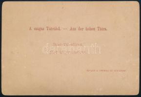 cca 1890 Magas-Tátra, Alsó-Tátrafüred, Divald Károly felvétele, keményhátú fotó / Hohe Tatra, Bad Un...