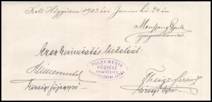 1903 Hőgyész, a hőgyészi róm. kath. elemi iskola tanköteleseinek kimutatása, Mussong Gyula igazgató,...