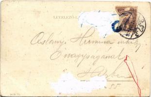 1901 Budapest XII. Zugliget, Budagyöngye kávéház, gyógyszertár. Biró Albert műintézete (EK)