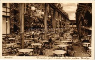 Budapest XIV. Városliget, Weingruber nyári helyisége, Székesfővárosi pavilon