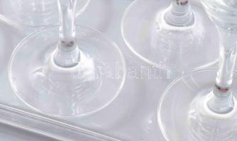 Schott Zwiesel kristály pezsgőspohár garnitúra tálcán, 6 db, jelzett, hibátlan, m: 21 cm, tálca h: 3...