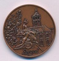 Fritz Mihály (1947-) DN Szeged bronz emlékérem (42,5mm) T:AU