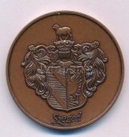 Fritz Mihály (1947-) DN "Szeged" bronz emlékérem (42,5mm) T:AU